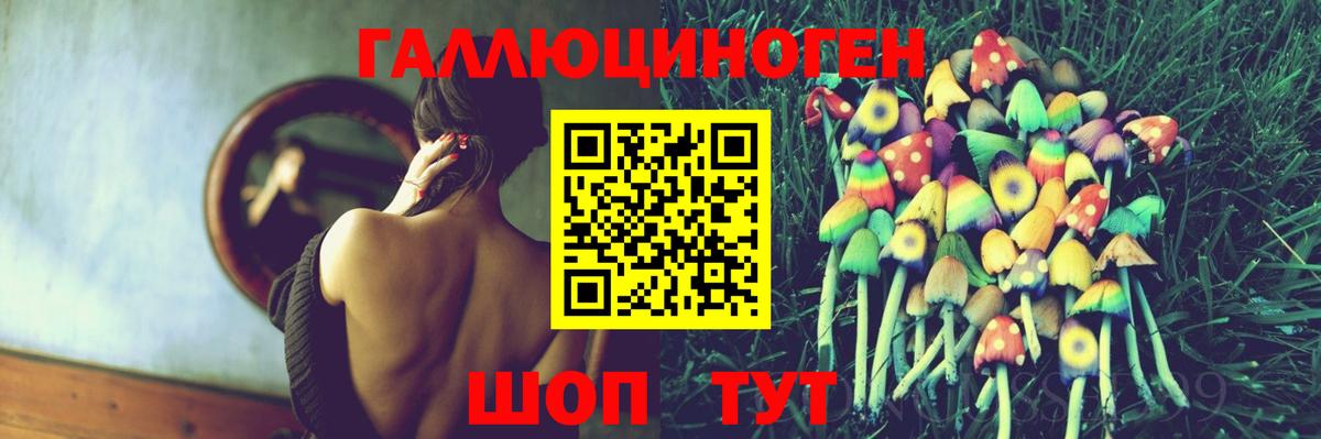 продажа наркотиков  Псилоцибиновые грибы мухоморы  Петропавловск-Камчатский  Вход с VPN  Псилоцибиновые грибы ЛСД 